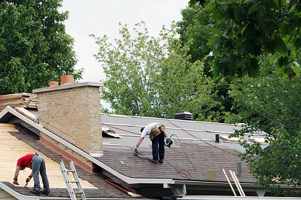 Best Storm Damage Roof Repair  in Decherd, TN