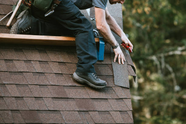 Best Shingle Roofing Installation  in Decherd, TN